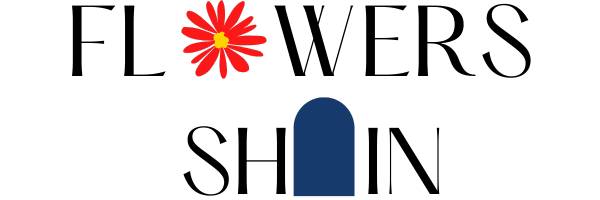FLOWERSHEIN.COM